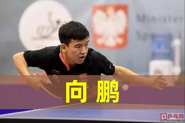 引入双能边 引入双能边